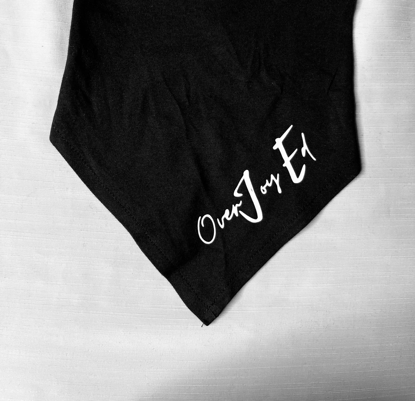 Lee Lee's "EVERYDAY" Pet bandanna