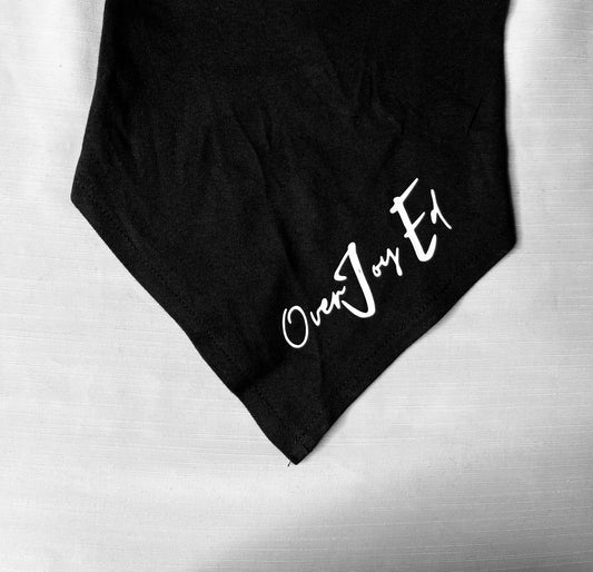 Lee Lee's "EVERYDAY" Pet bandanna